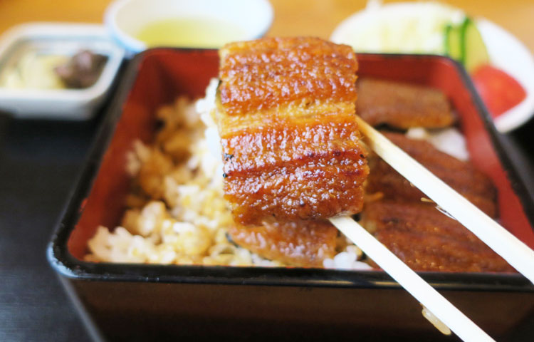 かいだ屋のうな重