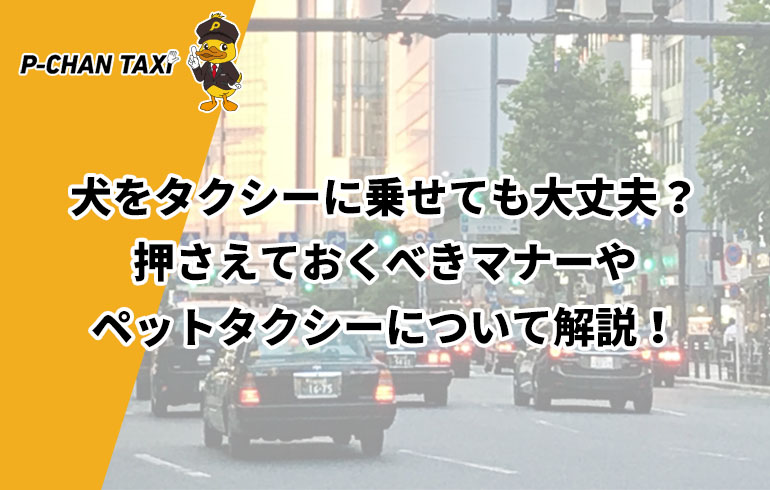 犬をタクシーに乗せても大丈夫 押さえておくべきマナーやペットタクシーについて解説 P Chan Taxi ピーチャンタクシー