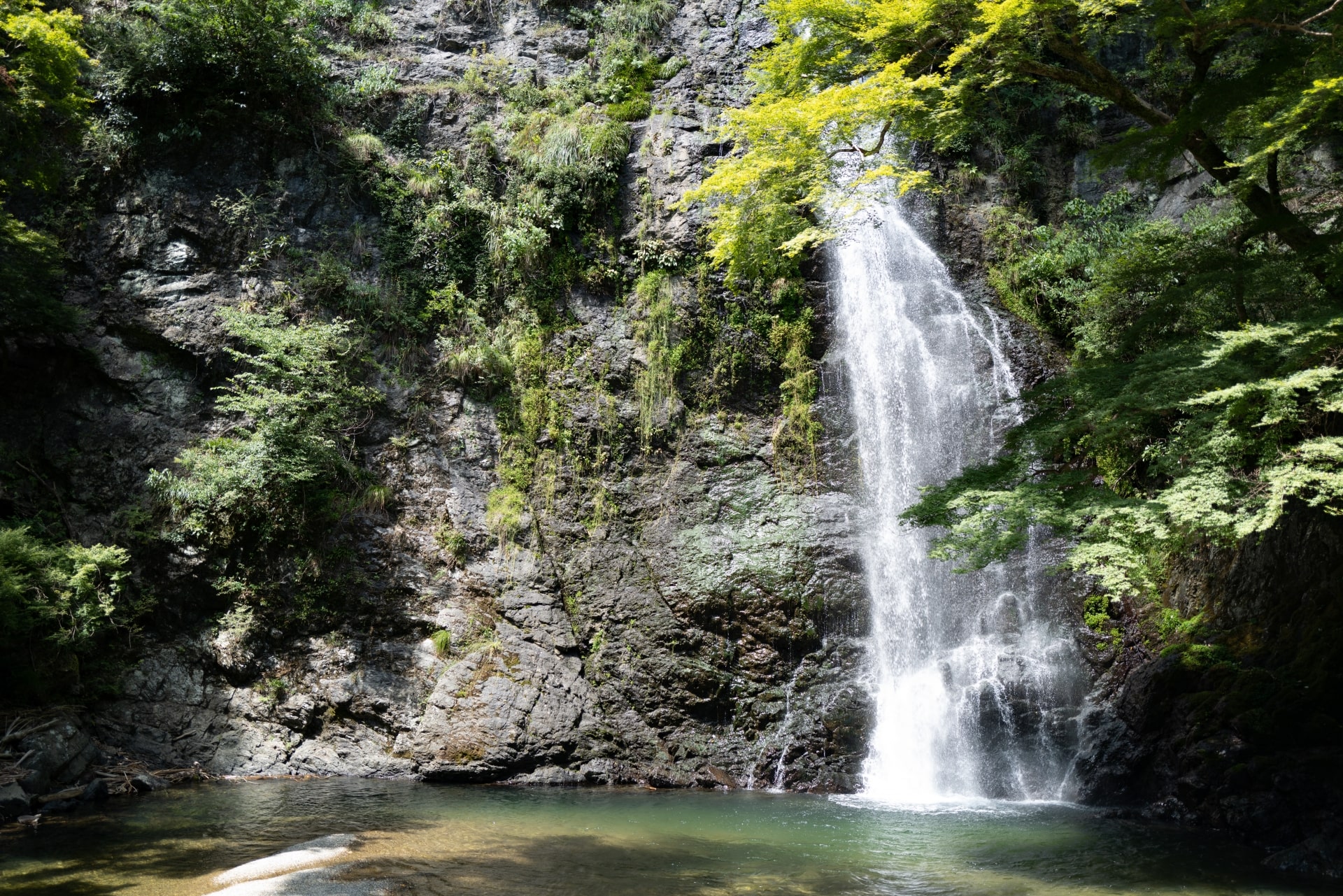 箕面市でタクシードライバーとして働くうえで知っておきたい地域の特色