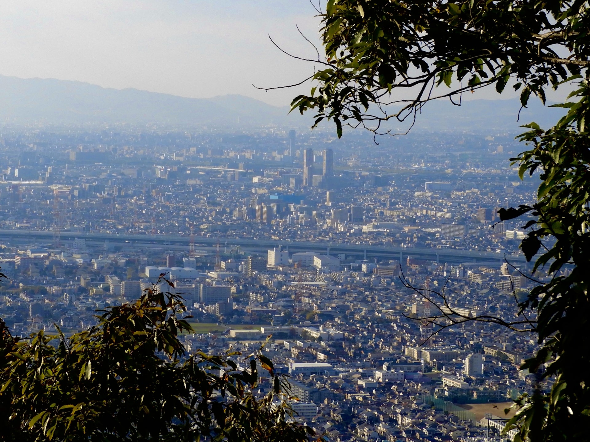 門真市でタクシードライバーとして働くうえで知っておきたい地域の特色