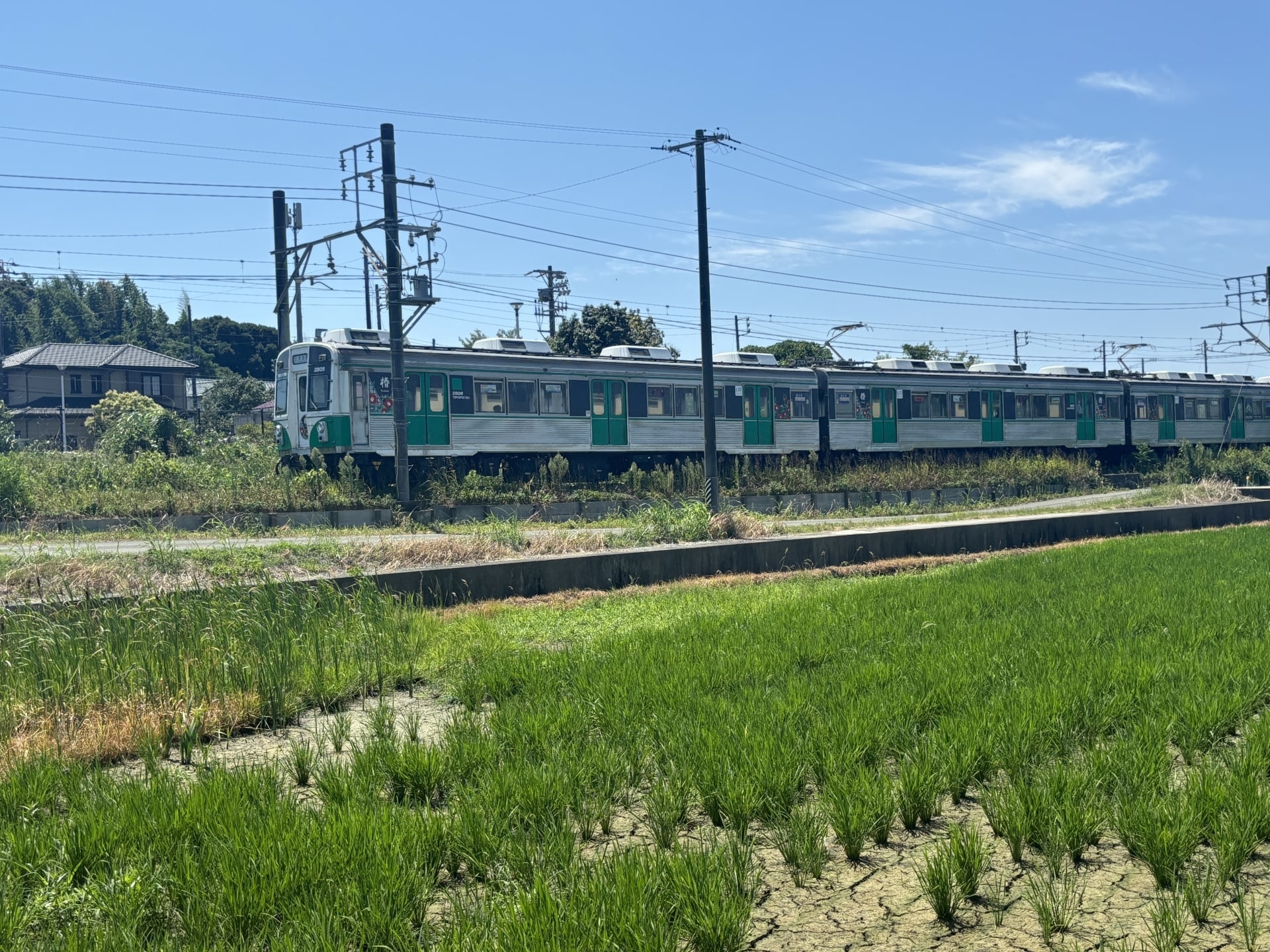 田原市でタクシードライバーとして働くうえで知っておきたい地域の特色