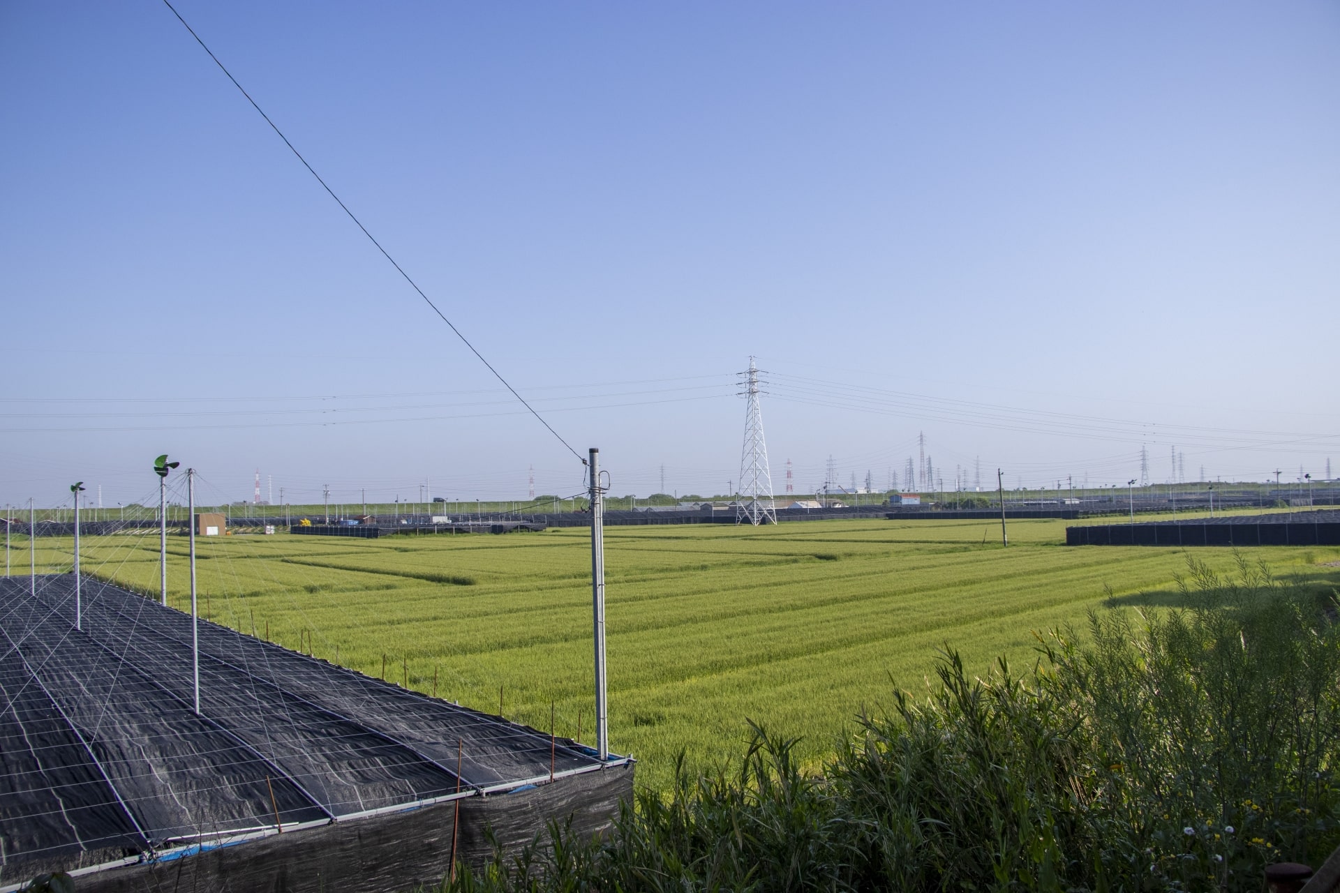 西尾市でタクシードライバーとして働くうえで知っておきたい地域の特色