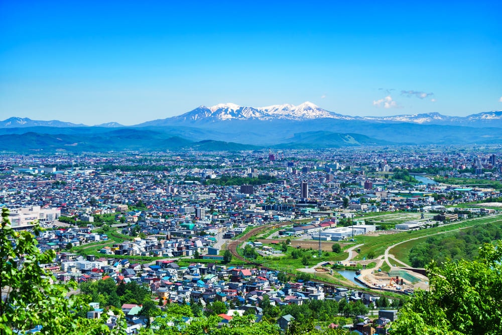 旭川市でタクシードライバーとして働くうえで知っておきたい地域の特色