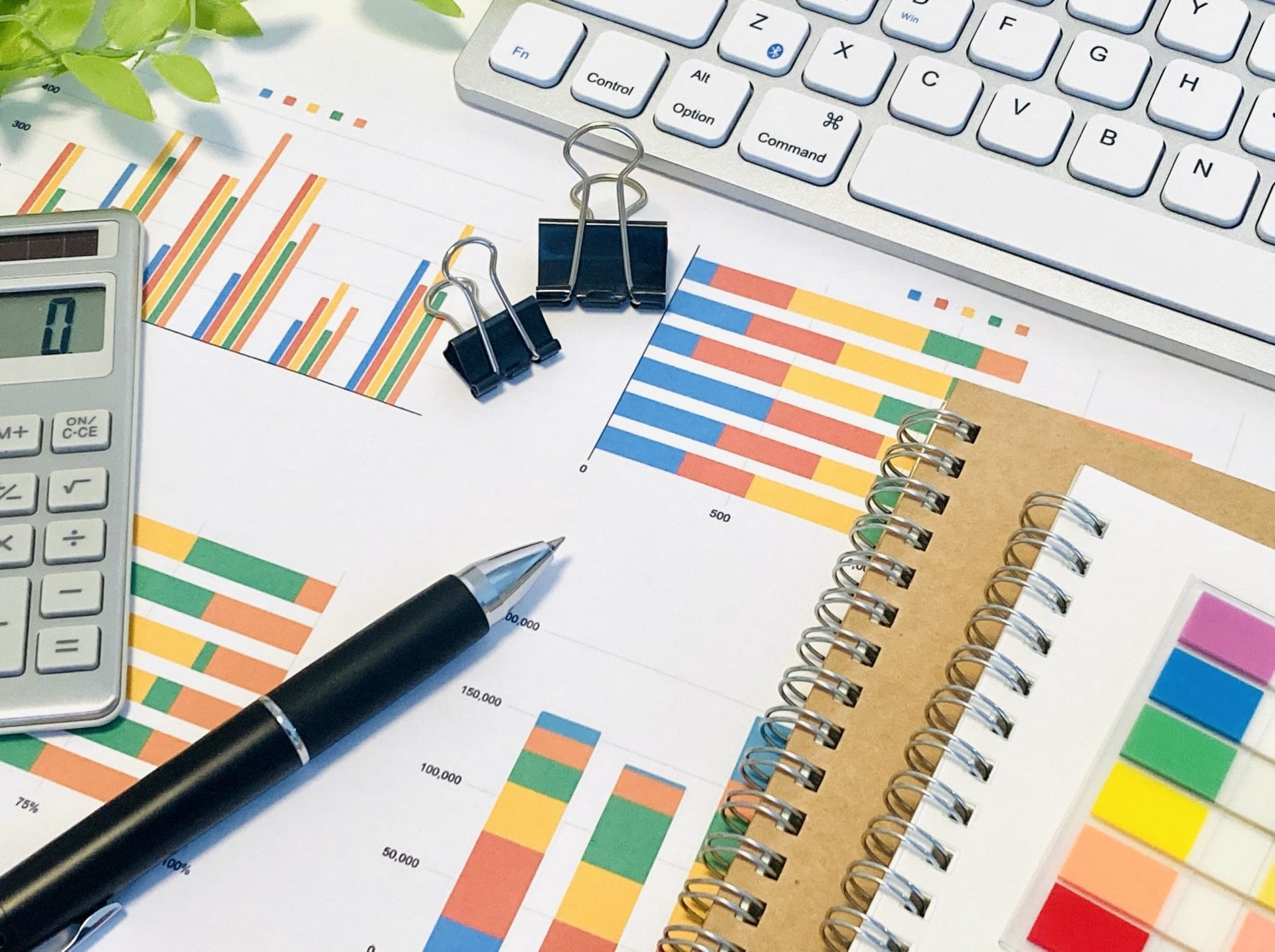 国際自動車株式会社の概要